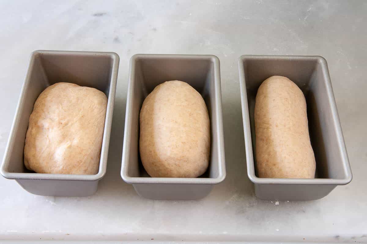A shaped yeast bread log being placed seam-side down into a greased loaf pan on a kitchen counter, ready for its second rise