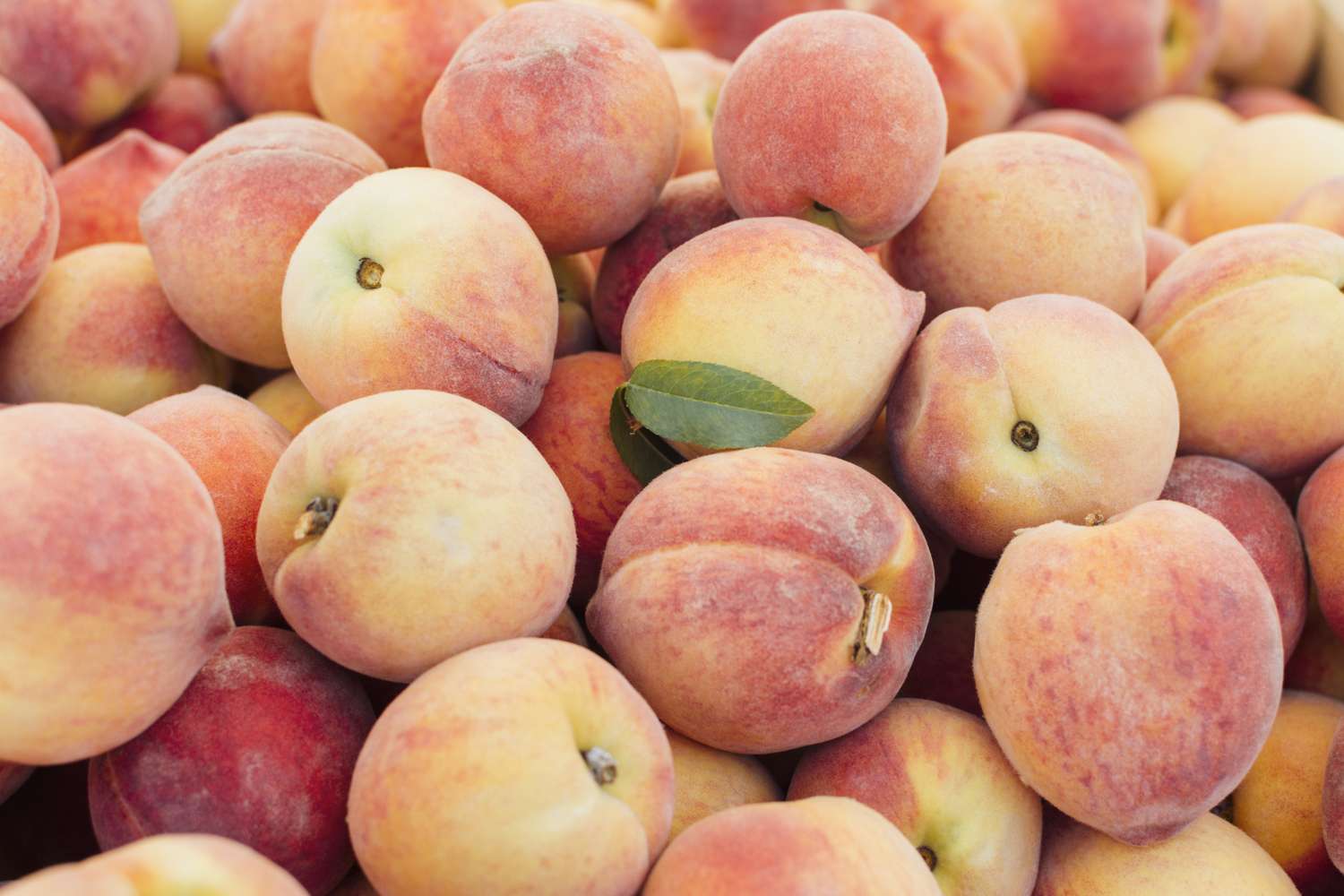Ripe fresh peaches on a wooden cutting board with a paring knife and peach slices ready for baking